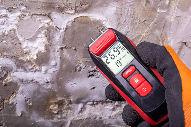 Best Attic Mold Removal  in Rockport, IN
