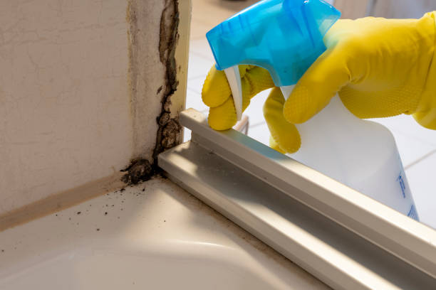 Best Mold Testing  in Rockport, IN