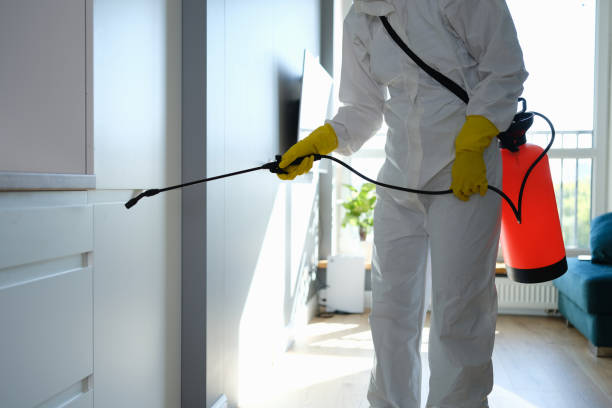 Best Certified Mold Removal  in Rockport, IN